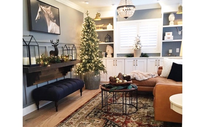 Living room with built-in shelving and plantation shutters.